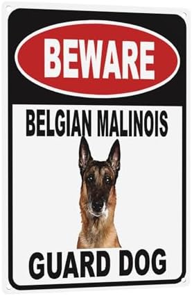 Beware Belgian Malinois Guard Dog Aluminum Composite Outdoor Sign 8" X12" Metal Security Notice For Yard, Fence, Porch, Property, And Business No Trespassing, Warning, Attack Dogs, Protection by C-CHAIN