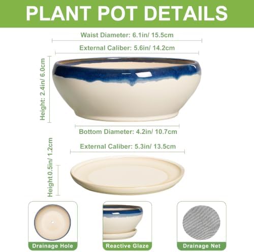 SQOWL Succulent Pots 6 Inch, Ceramic Bonsai Pots with Saucer, Blue-Beige - Image 2