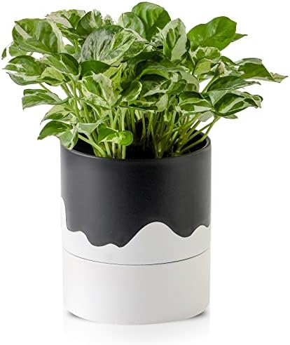 Nihow Ceramic Self Watering Plant Pot for Indoor Plants,6 Inch,Black White by Nihow