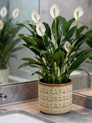 Ceramic Planter Ceramic Plant Pot, 5.3 Inch Small Planter with Unique Glaze, Home Decor Indoor Outdoor Flower Pot for Succulents Cactus Herbs, Living Room Office Decoration Farmhouse No drainage hole - Image 4