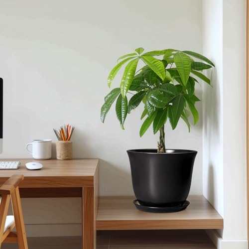 Ceramic Pots for Plants - 10 Inch Plant Pot with Drainage Hole and Tray, Large Round Planter for Indoor Outdoor, Morden Decorative Flower Pots, Living Room Decor, Gardening Gifts, Black - Image 7
