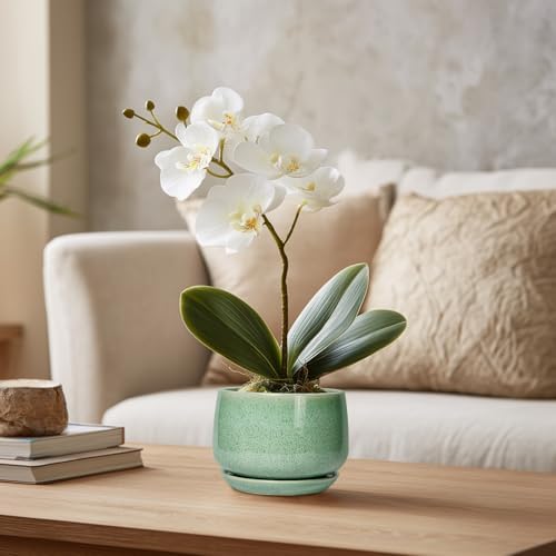 G EPGardening Ceramic Plant Pot - 4 inch Plant Pots with Drainage Hole & Saucer, Small Pots for Plant Indoor Outdoor, Modern Round Planter, Decorative Flower Pot, Room Decor, House Warming Gift, Green - Image 5