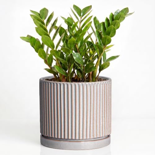 10 Inch Planter, Ceramic Plant Pots, Round Pots for Plants, Grey by Unknown