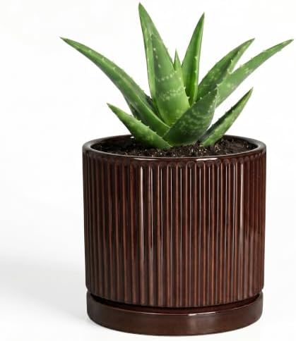 Succulent Pots 4 Inch, Ceramic Plant Pots, Round Planter, Brown by Unknown