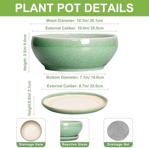 SQOWL Bonsai Pots - 10 Inch Ceramic Succulent Pots with Drainage Hole and Saucer, Shallow Planter for Indoor Plants Flowers, Round Planter Bowl, Living Room Decor, Plant Lover Gifts, Green - Image 2