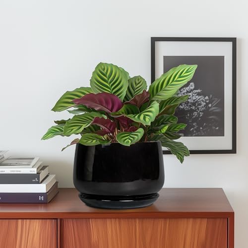 G EPGardening 6 Inch Planter, Ceramic Pot for Plants, Black - Image 2