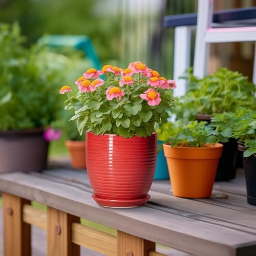 6 Inch Ceramic Plant Pot - Ceramic Pots for Plants, Round Planter with Drainage Hole and Saucer, Modern Flower Pots for Indoor Plants, Desk Home Office Decor, Plant Lover Gifts, Glossy Red - Image 4