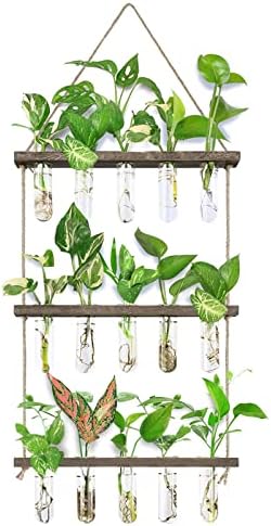 XXXFLOWER Wall Hanging Propagation Station with Wooden Stand 5 Glass Test Tubes 3 Tiered Planters Wall Terrarium for Home Office Plant Hanger Flower Vases Wall Decor Hydroponic Cuttings by XXXFLOWER