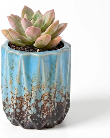 Succulent Plant Pots Ceramic Plant Pots and Drainage Hole Bonsai Planter Small Flower Pots for Indoor Outdoor Use for Home Office Garden Decoration,Plants Not Included (Blue B) by SUSOYAOCHEN