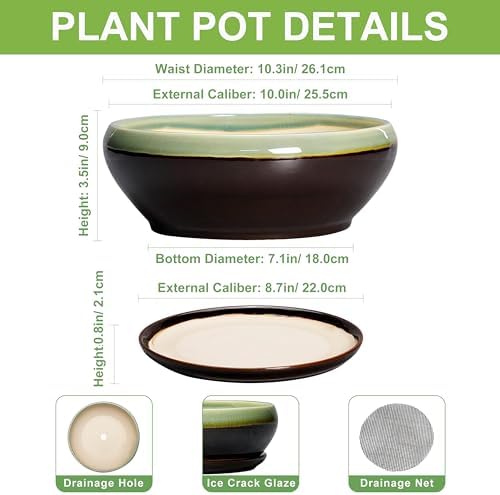 SQOWL Succulent Planters 10 Inch, Ceramic Bonsai Pots, Green-Brown - Image 2