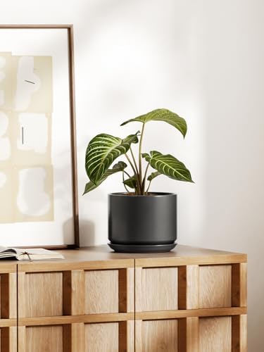 LE TAUCI Ceramic Pots for Plants, 8 Inch Plant Pot with Drainage Hole & Saucer, Modern Minimalist Planters for Indoor Plants, Round Flower Pot for Snake Plant, Monstera, Perfect for Home Decor, Black - Image 2