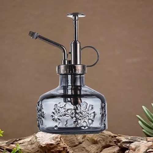 Spray Bottle for Plants, Plant Mister Spray Bottle, Glass Plant Mister Spray Bottle, Embossed Vintage Glass Watering Can, Succulent Watering Bottle with Top Pump for Outdoor (O) - Image 5