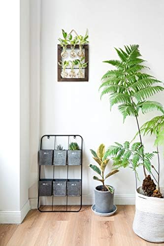 Mkono Plant Propagation Station, Wall Hanging 2-Layer Glass Terrarium Vases - Image 2
