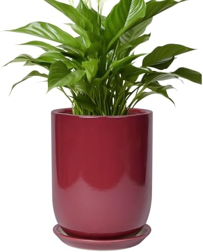 Ceramic Pot for Plants - 8 Inch Plant Pot Indoor with Drainage Hole and Saucer Cylinder Flower Pot for Indoor Outdoor Plants Home Patio Office Decor Red by SUNPOTFOR