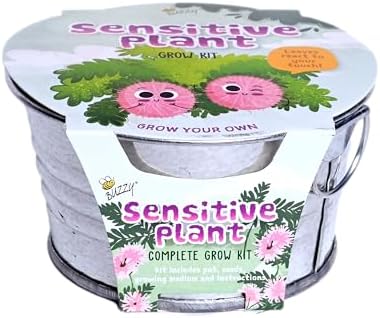 Buzzy Seeds Sensitive Plant Grow Kit, Metal Basin Planter, Mimosa Pudica by BUZZY