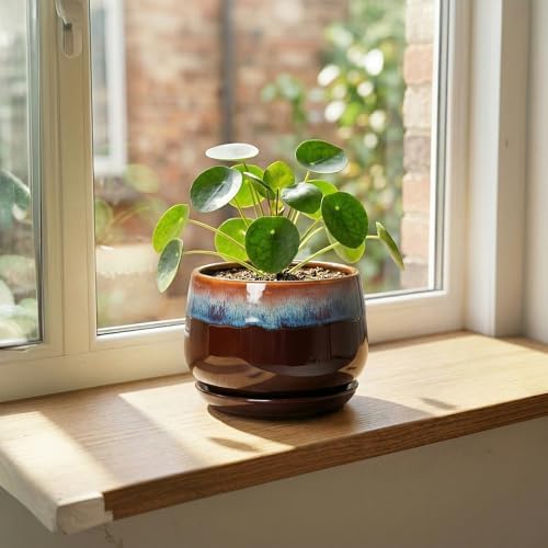 Ceramic Plant Pots - 6 Inch Planter with Drainage Hole and Saucer, Small Succulent Pot for Indoor Plants, Round Decorative Flower Pots, Garden Shelf Decor, Plant Gifts for Women, Brown-Blue - Image 3