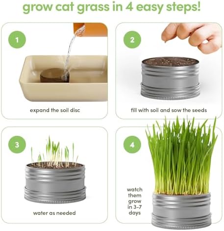 Cat Grass for Indoor Cats Kit - 3 Complete Growing Organic Planter Kits - Image 5