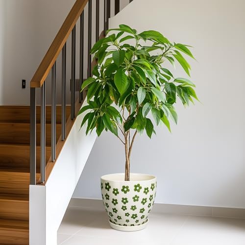 MPotTo Ceramic Flower Pot, 10 Inch, White - Image 6