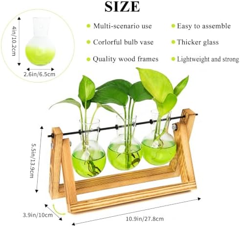XXXFLOWER Plant Terrarium Kit with Wooden Stand 3 Gradient Green Bulb Vases - Image 2