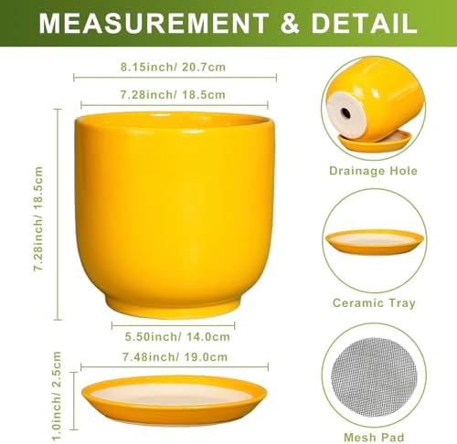 Ceramic Plant Pot 8 Inch - Decorative Modern Round Indoor Planter for Plants Flowers with Drainage Hole and Saucer, House Desk Office Home Decor, Yellow - Image 3