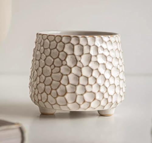 Rustic 4inch ceramic planter pot for succulent cactus and Indoor Plant by Unknown