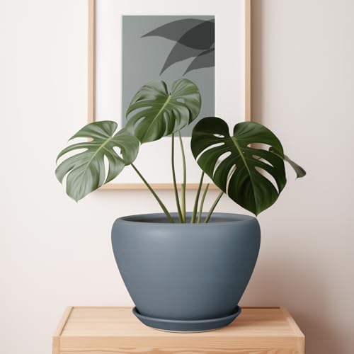 Ceramicfor 10 Inch Plant Pot, Ceramic Planter, Matte Gray - Image 6