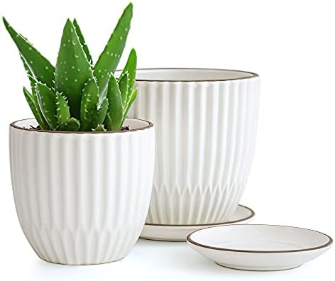 D'vine Dev 2-Pack Stoneware Planter Pots, 4.5/5.8 in, Ivory, 99-D-1 by DvineDevPlanterPotsandStand
