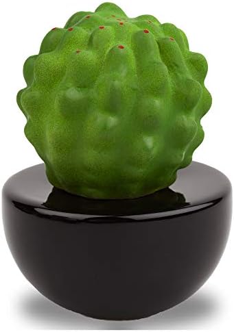 Frank Cactus, Non-Electric Ceramic Diffusers for Essential Oils and Aromatherapy Fragrance, White Ceramic Diffusers in Car or Desk Office Decor and Small Bathroom at Home, Black vase by Haveaniceday