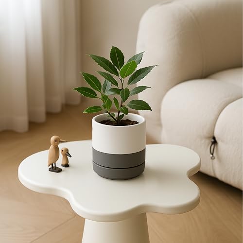 D'vine Dev 4.7 Inch Ceramic Planter Pot, White Grey, 94-O-B-6 - Image 5