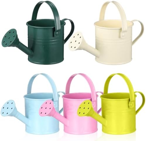 5pcs Mini Metal Watering Cans for Kids Small Galvanized Iron Watering Pot for Indoor Plants Succulents Decorative Vintage Style Flower Waterer for Home Craft Party Favors Housewarming by Homoyoyo