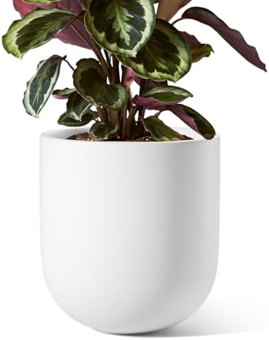 LE TAUCI 8 Inch Ceramic Plant Pot, Indoor Planter, White by LETAUCI