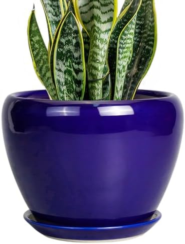 Ceramicfor Ceramic Plant Pot 8 Inch, Planter for Indoor Plants, Royal Blue by Ceramicfor
