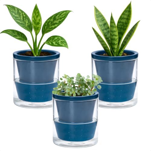 D'vine Dev Self-Watering Blue Terracotta Planter, 4 in, 3-Pack, 37-Z-A-4-T by DvineDevPlanterPotsandStand