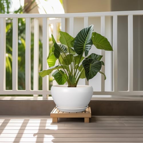 Ceramicfor Ceramic Planter for Indoor Plants - 11 Inch Plant Pot with Drainage Hole and Saucer Decorative Round Large Planter Pot for Plants Outdoor Flower Pot for Garden White - Image 2