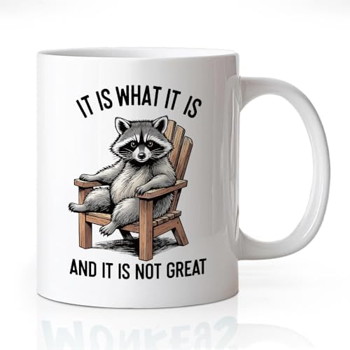 It Is What It Is And It Is Not Great 11 oz Ceramic Raccoon Mug by Unknown