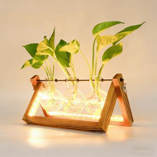 Plant Propagation Station with 9-Speed Adjustable LED Lights Air Planter Bulb Glass Vase Wooden Stand Plant Terrarium for Hydroponic Plants for Plant Lovers Home Garden Office by Unknown
