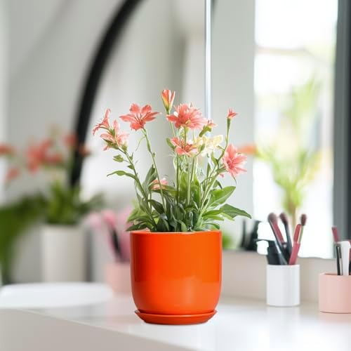 5 Inch Plant Pot - Ceramic Planter for Succulent Cactus Herbs Indoor Plants, Modern Round Flower Pot with Drainage Hole and Saucer, Gifts for Plant Lovers, Patio Office Home Decor, Orange - Image 6
