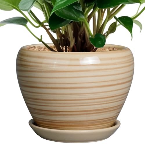 Ceramicfor 6 Inch Plant Pot Ceramic - Decorative Planter for Indoor Plants Succulent Pot with Drainage Hole and Saucer Round Planter Outdoor Flower Pot for House Patio Yellow by Ceramicfor