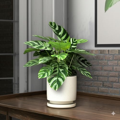 Nihow Ceramic Plant Pot Drainage Hole & Saucer for Indoor Plants, 5.7 Inch - Image 7