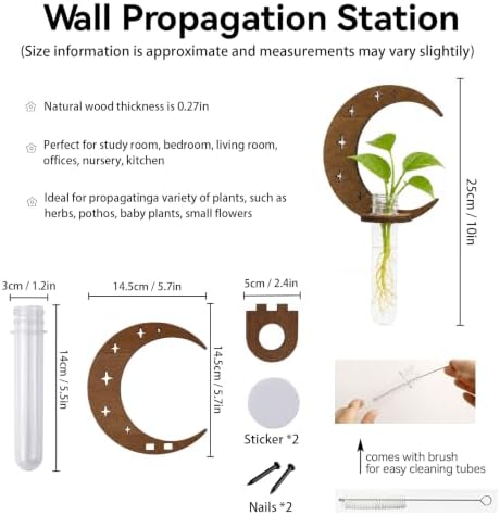 Artilady Plant Propagation Station, Moon Wall Hanging Wood Terrariums Tube - Image 6
