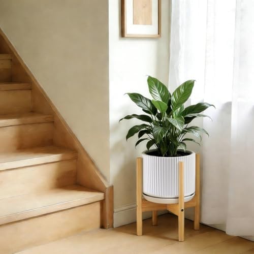 Ceramic-Flower-Pots-Sets-with-Saucer, 5/6/8 inch Small Planters for Indoor Plants with Drainage Hole, White Vertical Stripe Plant Pots for Home Decor, Outdoor Garden Pot For Succulent Cactus Herb - Image 4