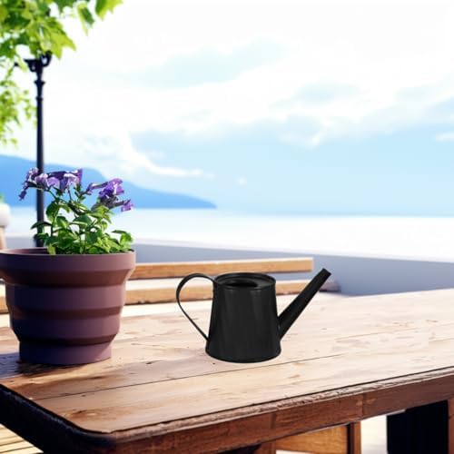 Toddmomy Succulent Watering can for Indoor Plants Small Metal Water can with Comfortable Handle Mini Garden Jug for Desk Table Bonsai 5.90 X 2.91 X 2.75 in - Image 3