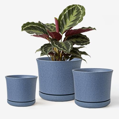 Ceramic Plant Pots, Set of 3, 4.3/5.6/6.9 Inch with Drainage by AvyraVelen