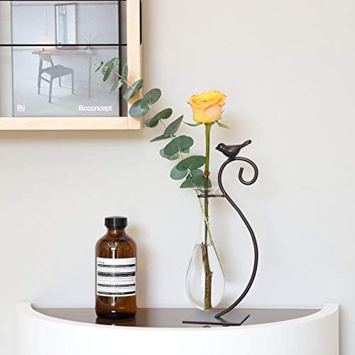 Marbrasse Desktop Glass Planter Hydroponics Vase,Planter Bulb Vase with Holder for Home Decoration,Modern Creative Bird Plant Terrarium Stand, Scindapsus Container (Water Drop Vase) - Image 4