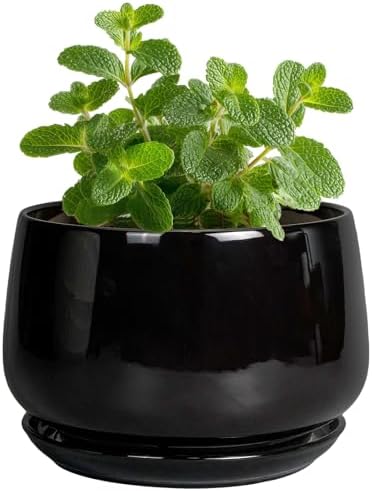 G EPGardening Small Ceramic Planter - 4 Inch Succulent Pots with Drainage Hole & Sacuer, Flower Pots for Indoor Outdoor Plants, Modern Decorative Round Planter, Room Decor, House Warming Gifts, Black by GEPGardening