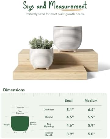 LE TAUCI Ceramic Plant Pots, 5.1 + 6.4 Inch Footed Pots for Plants, Modern Flower Pots for Home and Office, Indoor Planters with Drainage, Reactive Glaze White - Image 5