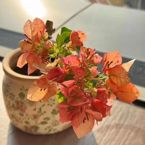 Small Ceramic Planter with Drainage – 4 Inch Vintage Flower Pot (Wheat) - Image 4