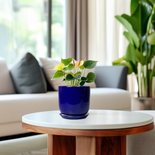 Succulent Pot 5 Inch - Modern Ceramic Planter for Indoor Plants with Drainage Hole and Saucer, Office Home Room Patio Decor, Blue - Image 4