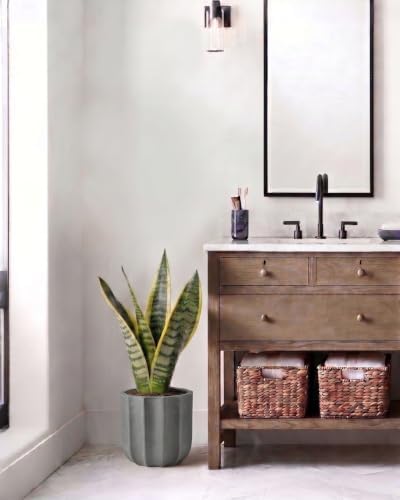 10 Inch Ceramic Plant Pot for Indoor Plants with Drainage Hole - Image 4