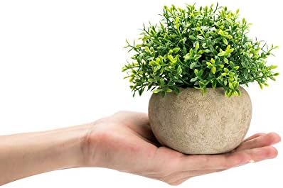 Velener 2Pcs Mini Artificial Boxwood Topiary Faux Plants Indoor- Small Fake Plants Decor Magnolia Home Office Desk Cubicle Farmhouse Kitchen Bookshelf Bedroom Bathroom Decor, Aloe Vera Zen Garden - Image 3